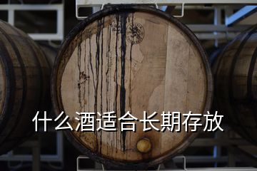 什么酒適合長期存放