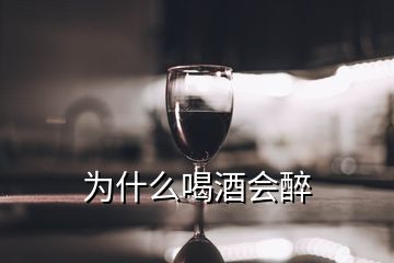 為什么喝酒會(huì)醉