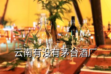 云南有沒(méi)有茅臺(tái)酒廠