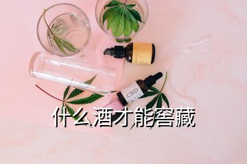 什么酒才能窖藏