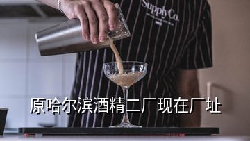 原哈爾濱酒精二廠現(xiàn)在廠址