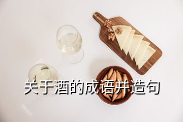 關于酒的成語并造句