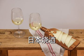 日本燒酒