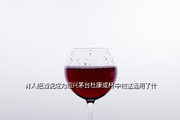 有人把酒說成為紹興茅臺杜康或杯中物這運用了什