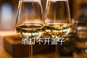 酒打不開蓋子