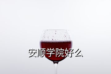 安順學院好么