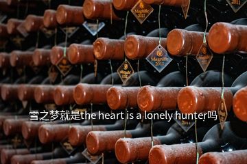 雪之夢(mèng)就是the heart is a lonely hunter嗎