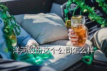 洋河股份這個公司怎么樣