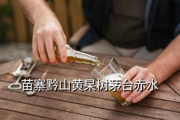 苗寨黔山黃杲樹(shù)茅臺(tái)赤水