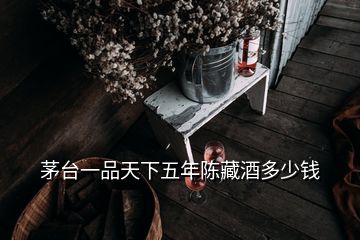 茅臺(tái)一品天下五年陳藏酒多少錢