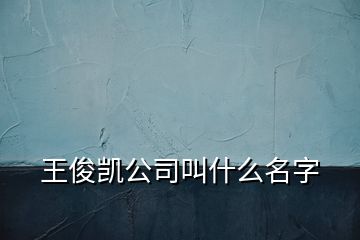 王俊凱公司叫什么名字