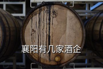 襄陽有幾家酒企