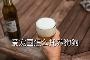 愛寵國怎么托養(yǎng)狗狗