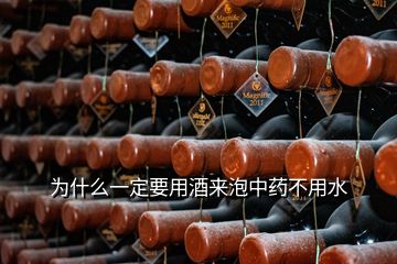 為什么一定要用酒來(lái)泡中藥不用水