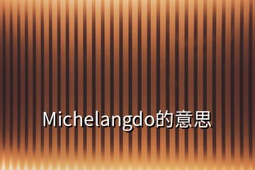 Michelangdo的意思