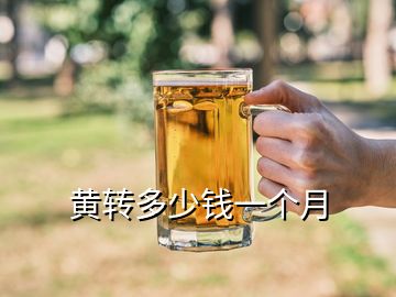 黃轉(zhuǎn)多少錢一個(gè)月