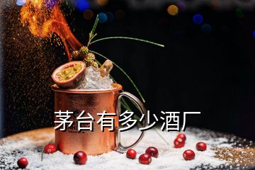 茅臺(tái)有多少酒廠