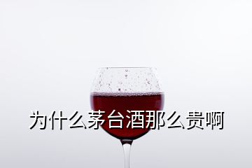 為什么茅臺酒那么貴啊