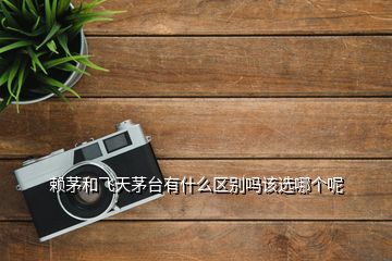 賴茅和飛天茅臺有什么區(qū)別嗎該選哪個呢