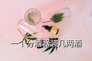 一個分酒器裝幾兩酒