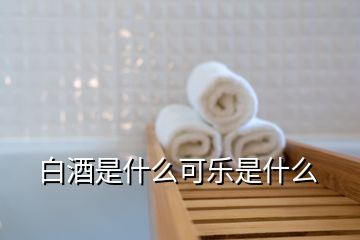 白酒是什么可樂(lè)是什么