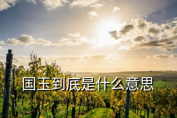 國玉到底是什么意思