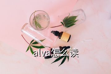 alva怎么讀