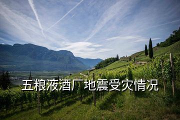 五糧液酒廠地震受災(zāi)情況