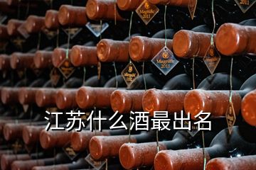 江蘇什么酒最出名