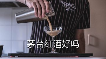 茅臺(tái)紅酒好嗎