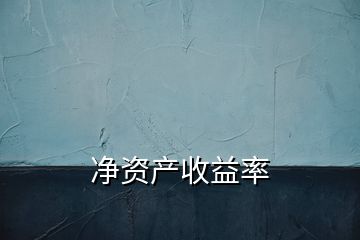 凈資產(chǎn)收益率