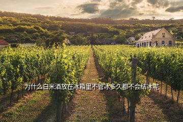 為什么白米酒放在冰箱里不管冰多久都不會(huì)結(jié)冰呢