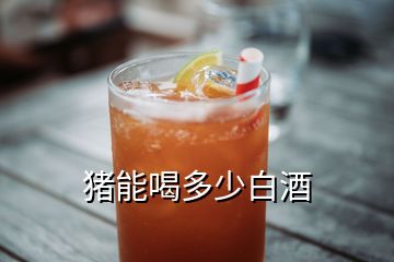 豬能喝多少白酒