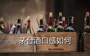 茅臺(tái)酒口感如何