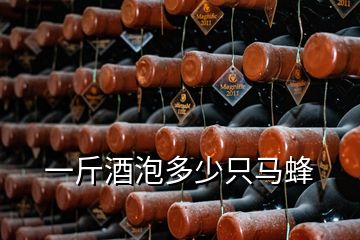 一斤酒泡多少只馬蜂