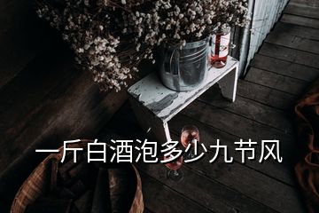 一斤白酒泡多少九節(jié)風(fēng)