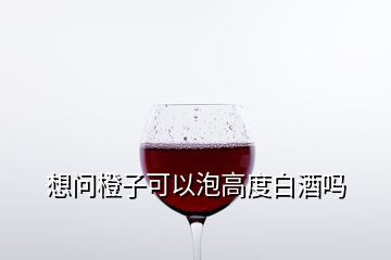 想問橙子可以泡高度白酒嗎