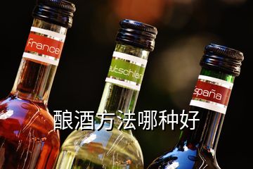 釀酒方法哪種好