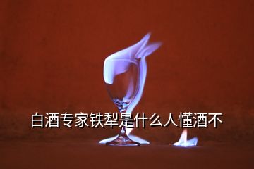 白酒專家鐵犁是什么人懂酒不