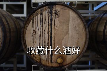 收藏什么酒好