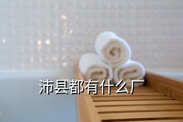 沛縣都有什么廠