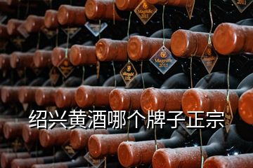 紹興黃酒哪個牌子正宗