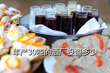 年產(chǎn)30噸的酒廠投資多少