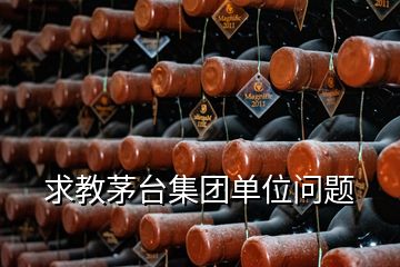 求教茅臺集團單位問題