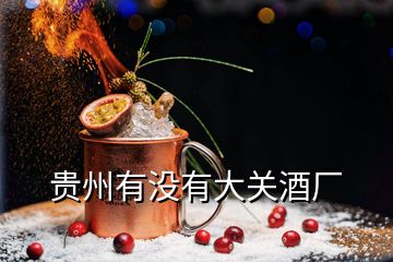 貴州有沒(méi)有大關(guān)酒廠