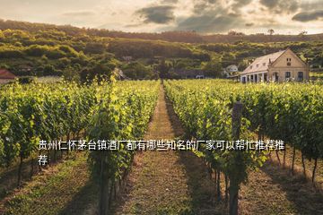 貴州仁懷茅臺鎮(zhèn)酒廠都有哪些知名的廠家可以幫忙推薦推薦