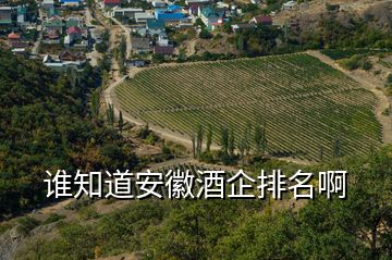 誰(shuí)知道安徽酒企排名啊