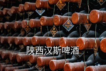 陜西漢斯啤酒