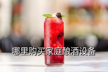 哪里購(gòu)買家庭釀酒設(shè)備