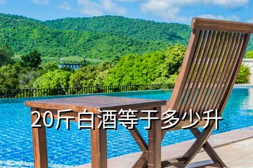 20斤白酒等于多少升
